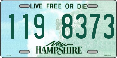 NH license plate 1198373