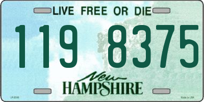 NH license plate 1198375