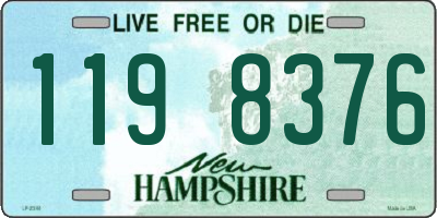 NH license plate 1198376