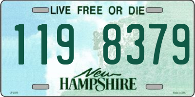 NH license plate 1198379