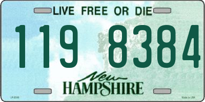 NH license plate 1198384