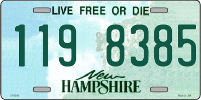 NH license plate 1198385