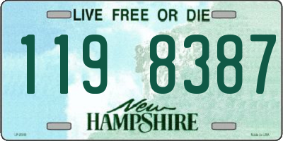 NH license plate 1198387