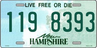 NH license plate 1198393