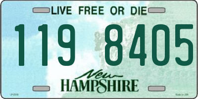 NH license plate 1198405