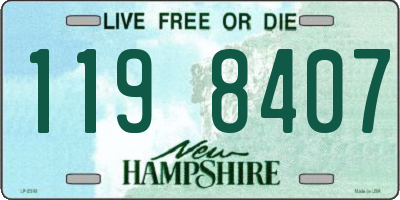 NH license plate 1198407