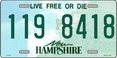 NH license plate 1198418