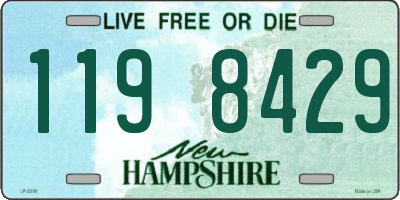 NH license plate 1198429