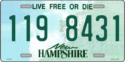 NH license plate 1198431