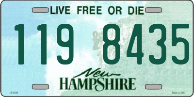 NH license plate 1198435