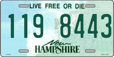NH license plate 1198443