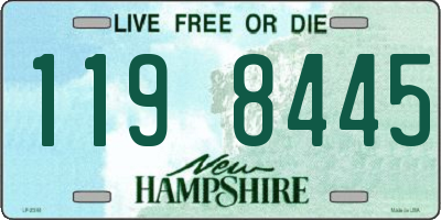 NH license plate 1198445