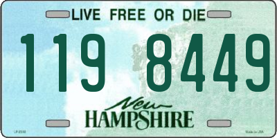 NH license plate 1198449