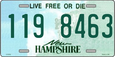 NH license plate 1198463