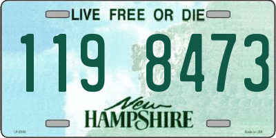 NH license plate 1198473