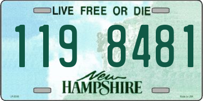 NH license plate 1198481