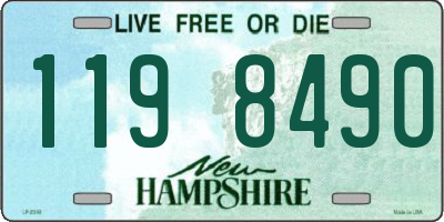 NH license plate 1198490