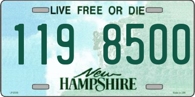 NH license plate 1198500