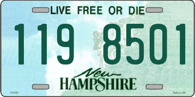 NH license plate 1198501