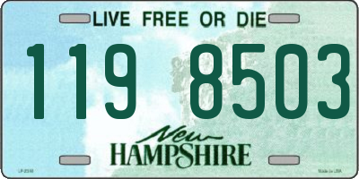 NH license plate 1198503