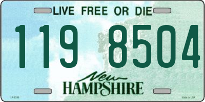 NH license plate 1198504