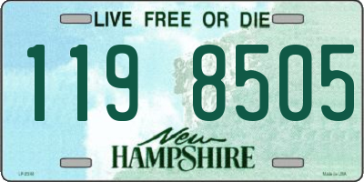 NH license plate 1198505