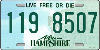 NH license plate 1198507