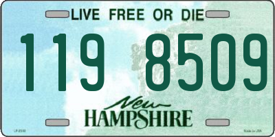 NH license plate 1198509