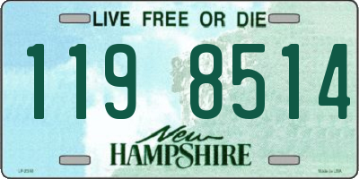 NH license plate 1198514