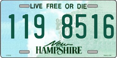 NH license plate 1198516