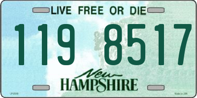 NH license plate 1198517