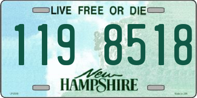 NH license plate 1198518