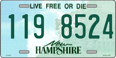 NH license plate 1198524