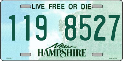 NH license plate 1198527