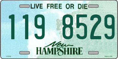 NH license plate 1198529