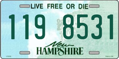 NH license plate 1198531