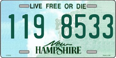 NH license plate 1198533