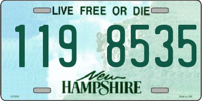 NH license plate 1198535