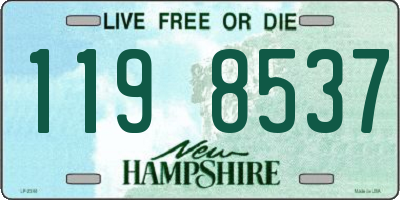 NH license plate 1198537