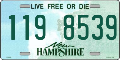 NH license plate 1198539