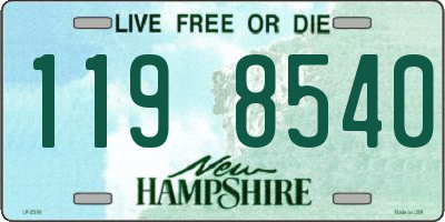 NH license plate 1198540