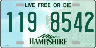 NH license plate 1198542