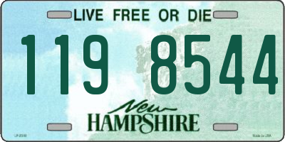 NH license plate 1198544