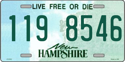 NH license plate 1198546