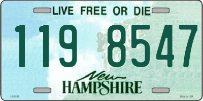 NH license plate 1198547