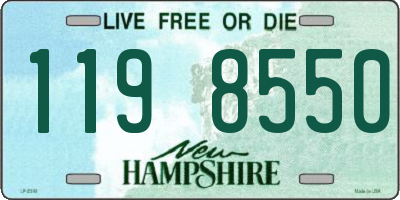 NH license plate 1198550