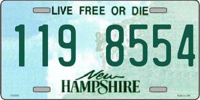NH license plate 1198554