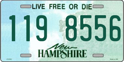 NH license plate 1198556