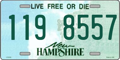 NH license plate 1198557