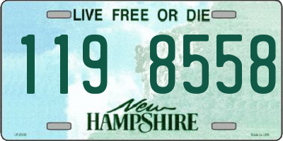 NH license plate 1198558
